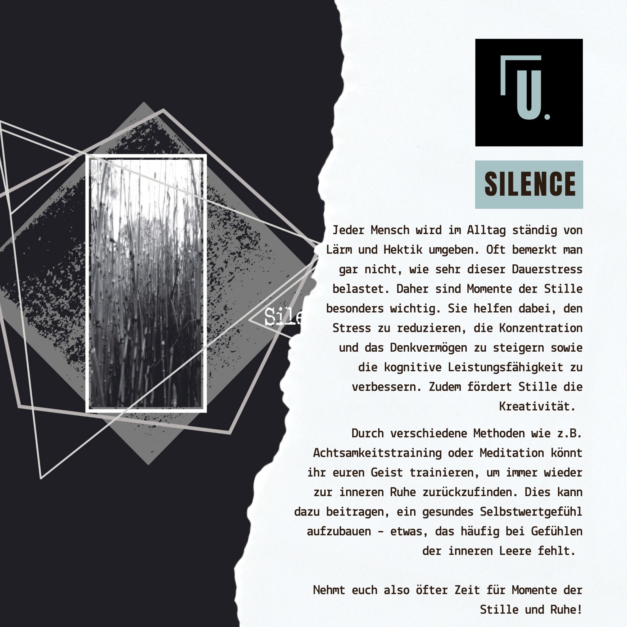 Designsbeschreibung / Botschaft "Silence"